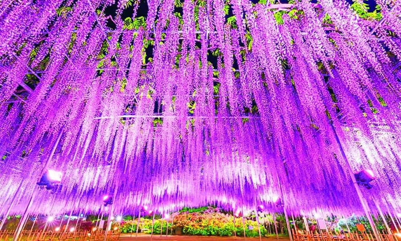 top-japanese-travel-destination-loved-by-locals